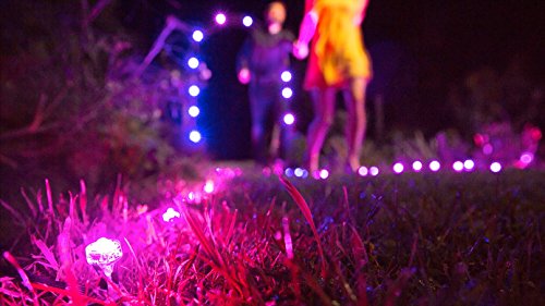 OSRAM LED Gartenleuchte LIGHTIFY Gardenspot Mini Add-On 3 Spots, 1,5m Länge / dimmbar / Farbsteuerung RGB / Kompatibel mit Alexa - 6