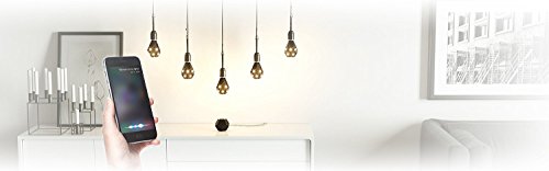 nanoleaf Ivy Smarter LED-Kit: Apple Home-Kit Beleuchtungs-Set - 8