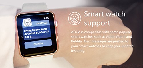 Amaryllo Atom HD Security Roboter-Kamera 360 Grad View in weiß - 6