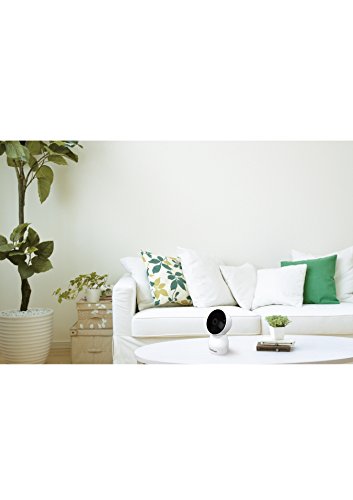 SpotCam Cloud WLAN IP-Überwachungskamera mit 360 Grad Panorama-View SPOTCAM-EVA mit Smart Home Integration - 2