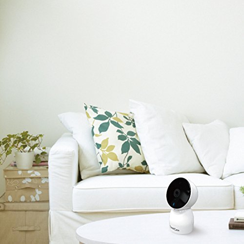 SpotCam Cloud WLAN IP-Überwachungskamera mit 360 Grad Panorama-View SPOTCAM-EVA mit Smart Home Integration - 8