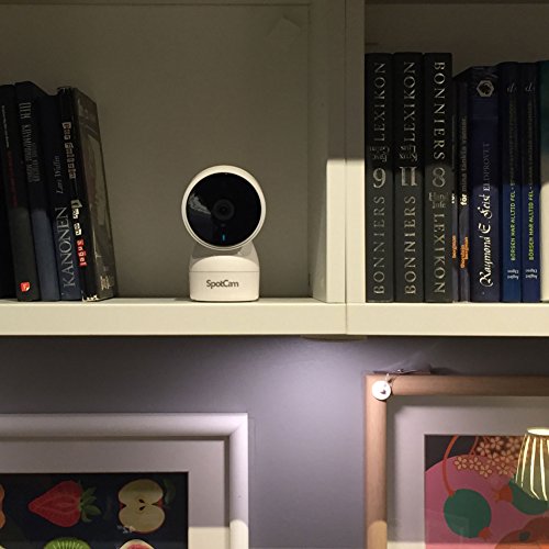 SpotCam Cloud WLAN IP-Überwachungskamera mit 360 Grad Panorama-View SPOTCAM-EVA mit Smart Home Integration - 7