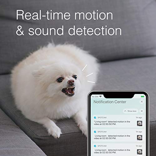 SpotCam 1080P Full-HD IP-Kamera – WLAN-Überwachungskamera Indoor mit Smart Home Integration - 6