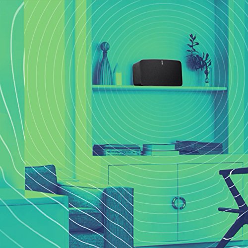Sonos PLAY:5 I Klangstarker Multiroom Smart Speaker für Wireless Music Streaming (schwarz) - 5