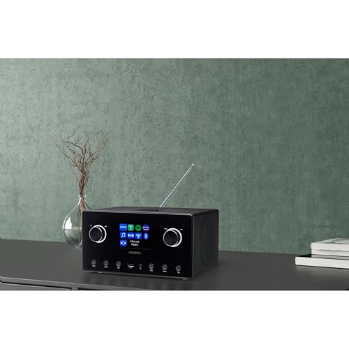 MEDION P85444 2.1 Internetradio mit Subwoofer (DAB+, UKW Radio, Spotify Connect, WLAN, Bluetooth, Streaming, Equalizer, Farbdisplay, USB, AUX, Wecker, Schlummerfunktion, Sleep Timer) schwarz - 8