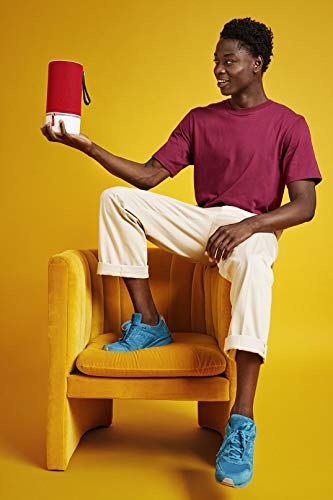 Libratone ZIPP 2 Smart Wireless großer Lautsprecher (Alexa Integration, AirPlay 2, MultiRoom, 360° Sound, Wlan, Bluetooth, Spotify Connect, 12 Std. Akku) frosty grey - 8