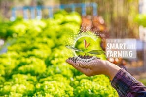 Smartes Gärtnern Smartes Gärtnern (depositphotos.com)